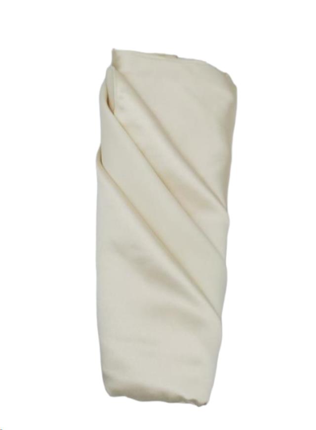 Rental store for 20x20, Ivory Matte Satin Poly Back Napkin in Memphis TN