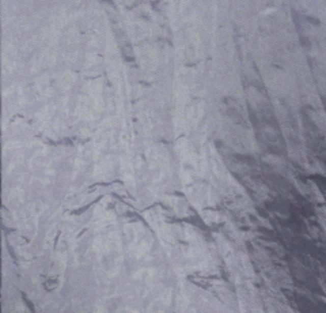 Rental store for Lilac Shalimar Linen in Memphis TN