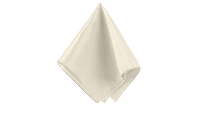 Rental store for 20x20, Ivory Dupioni Majestic Napkin in Memphis TN