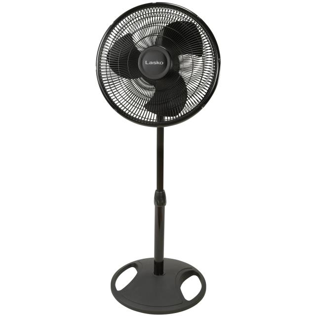 Rental store for Black Pedestal Fan 16 in Memphis TN