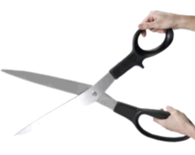 Rental store for Ceremony Scissors in Memphis TN